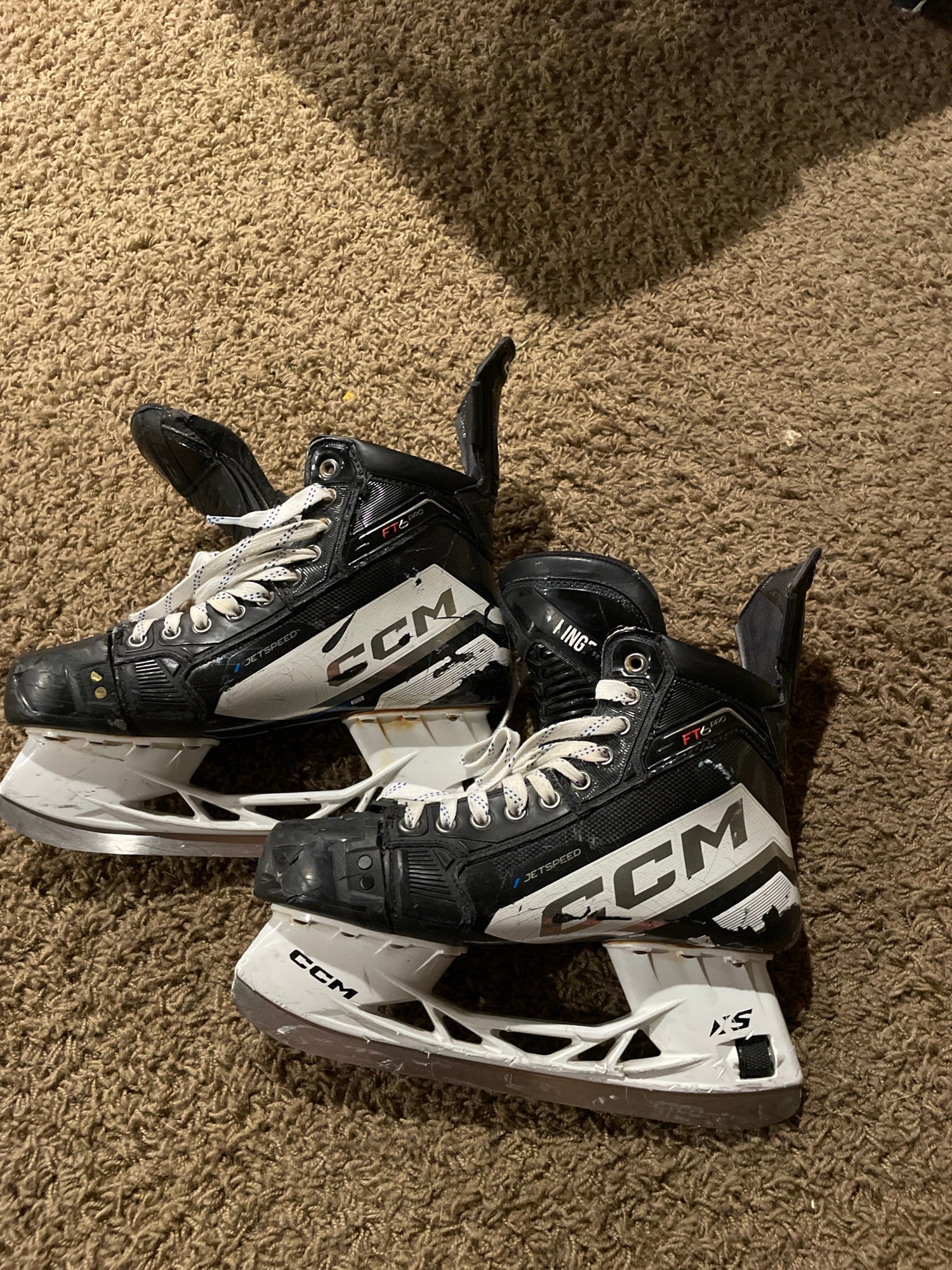 True TF7 · Size 7 · Senior